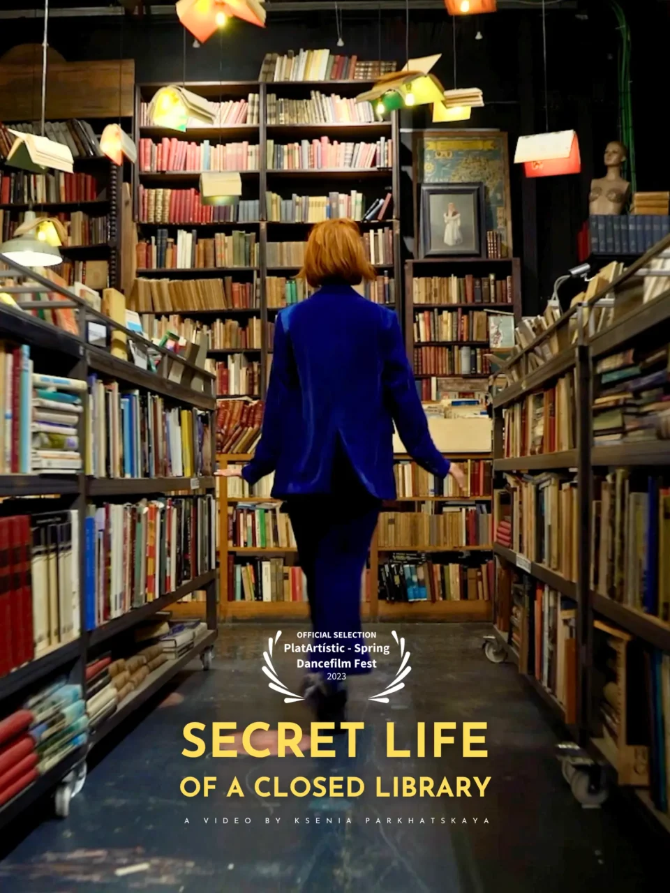 Secret Life of a Closed Library poster