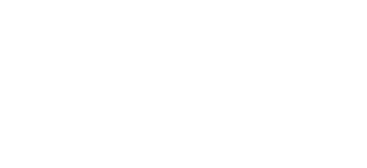 Lights Camera Action Logo